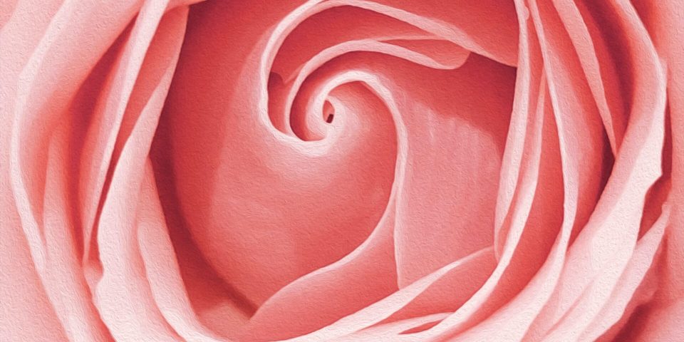 PINK ROS